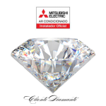 Cliente Diamante (1)